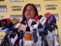 Dinorah Figuera: Reforma de la Locti busca claridad en la ad...