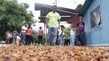 Ramón Martínez: “Para aumentar la producción de cacaoteras e...