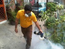 Primero Justicia inició jornada de fumigación contra dengue ...
