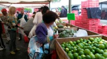 Feria Agrícola retoma sus funciones en la Alcaldía Los Salia...