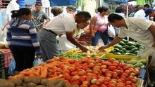13 Mercados a Cielo Abierto del Gobierno de Miranda funciona...