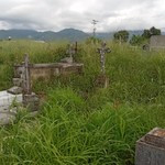Maleza cubrió por completo lápidas del cementerio parroquial...
