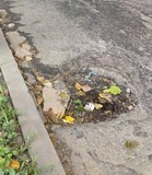 Betsy Bustos denuncia colapso de vialidad que conduce a Hosp...