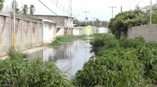 Paul Elguezabal: Gobernador Acuña no ejecutó obras que aprob...
