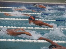 Deporte Miranda entregó 200 mil becas de alto rendimiento en...