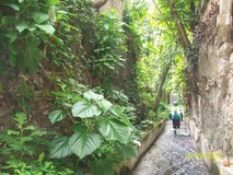 Protección Civil y Ambiente Chacao continúa inspección de qu...