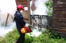 Primero Justicia Aragua ejecuta plan de fumigación en el mun...