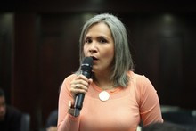 Karim Vera: La Ley de Amnistía debe estar acompañada de la d...