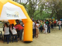 "Mujeres Miranda sumó cerca de 15 mil personas a la no ...