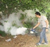 Mardo: “El dengue y el ckikungunya se controlará cuando se i...
