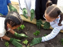 Más de cien talleres dictó Gobierno de Miranda para promover...